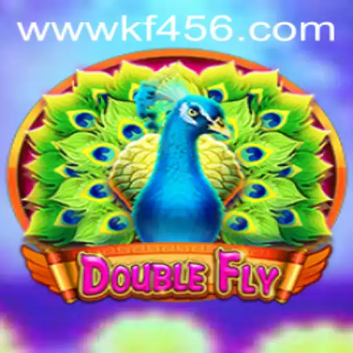 DoubleFly: An Engaging Adventure Game with a Twist